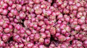 onion