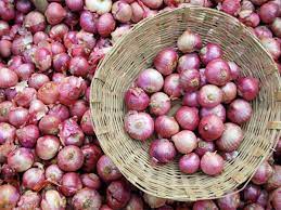 onion2