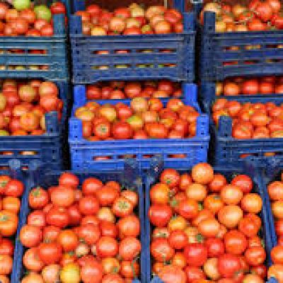 tomato